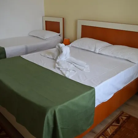 Hotel Cometa 3*
