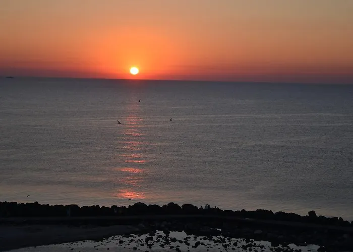 Hotel Cometa Jupiter